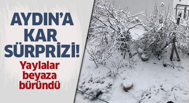 Aydın'a kar sürprizi!