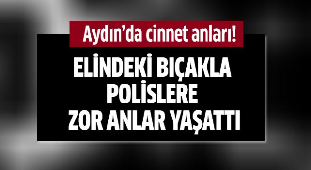 Aydın'da cinnet anları!