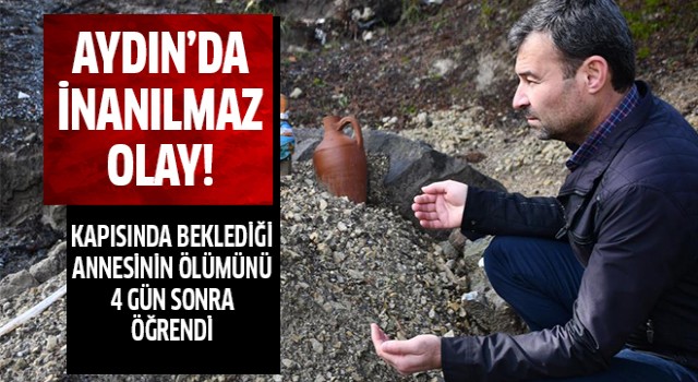 Aydın'da inanılmaz olay!