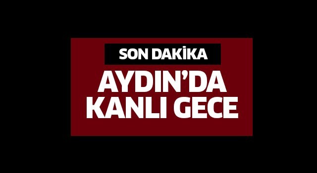 Aydın’da alkollü genç bıçağı kendine sapladı