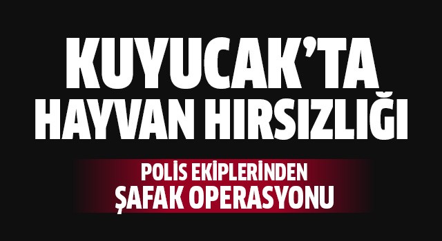 Hayvan hırsızları Kuyucak Polisi'nden kaçamadı!