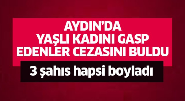 Yaşlı kadını gasp edenler cezasını buldu