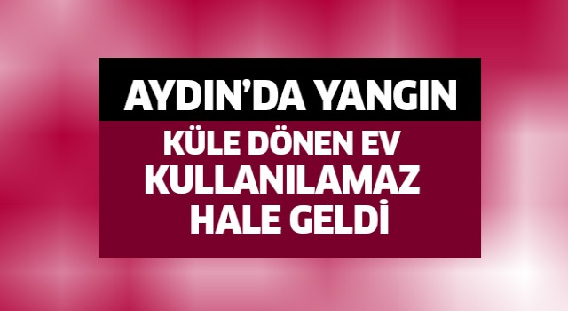 AYDIN'DA YANGIN!