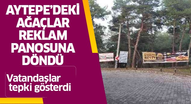 Aytepe'deki ağaçlar reklam panosuna döndü