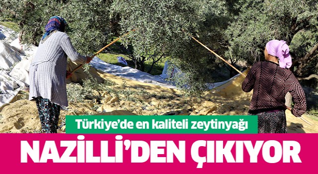 Türkiye'de en kalitelisi Nazilli'den çıkıyor