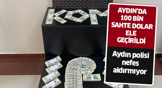 Aydın’da 100 bin sahte dolar ele geçirildi