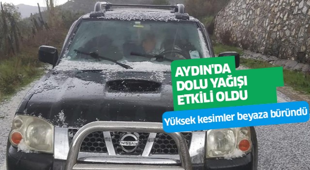 Aydın'da dolu yağışı etkili oldu