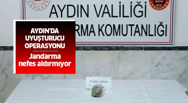 Aydın'da uyuşturucu operasyonu: 1 gözaltı