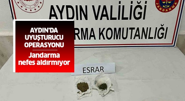 Aydın'da uyuşturucu operasyonu