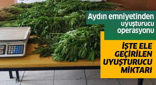 Aydın'da uyuşturucu operasyonu:2 gözaltı