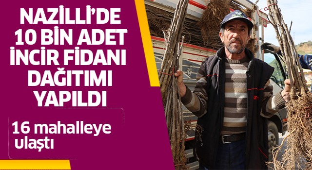 Nazilli'de 16 mahallede 10 bin incir fidanı dağıtıldı