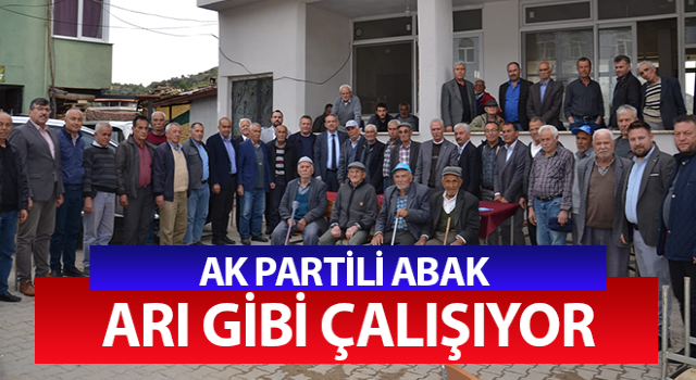 Ak Partili Abak Aydın'ı karış karış geziyor