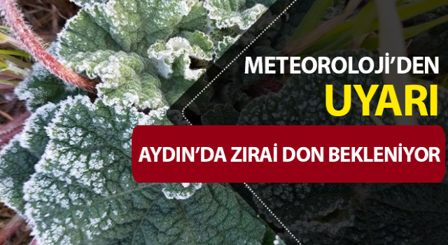 Aydın’a zirai don uyarısı