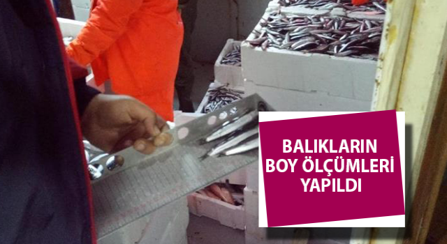 Didim'de balık boyu denetimi