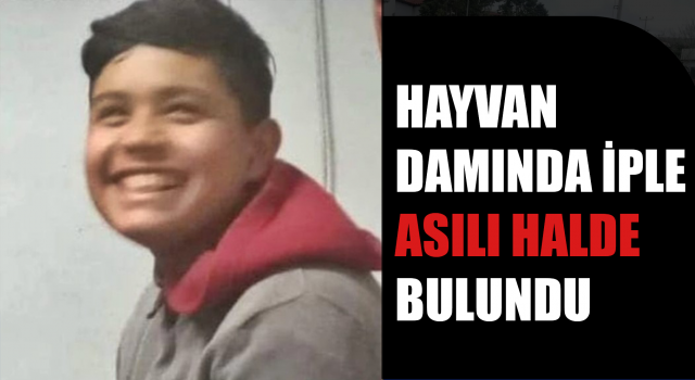 Hayvan damında iple asılı halde bulundu