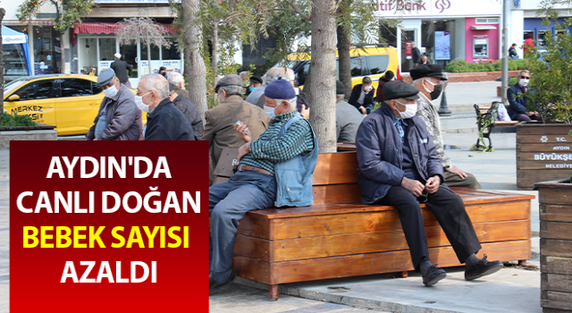 Aydın'da doğum oranları azaldı