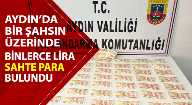 Binlerce lira sahte para ile yakalandı