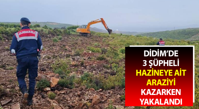 Hazineye ait araziyi kazarken yakalandılar