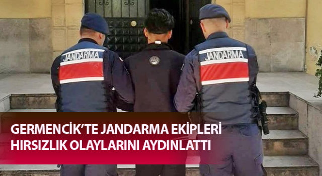 Jandarma ekipleri hırsızlık olaylarını aydınlattı