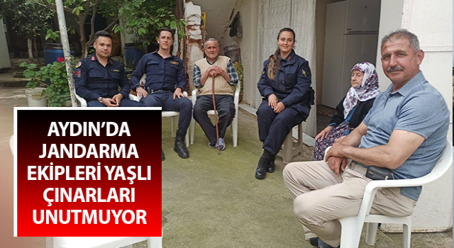 Jandarma ekipleri yaşlı çınarları unutmuyor