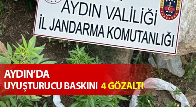 Jandarmadan uyuşturucu baskını: 4 gözaltı