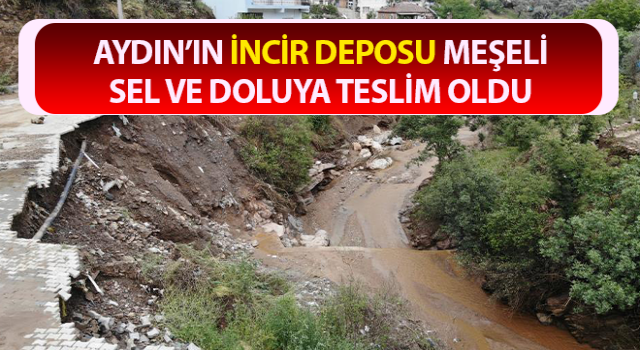 Meşeli, sel ve doluya teslim oldu