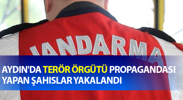 Terör örgütü propagandası yapan şahıslar yakalandı