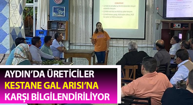 Aydın'da 'kestane gal arısı' ile mücadele çalışmaları sürüyor