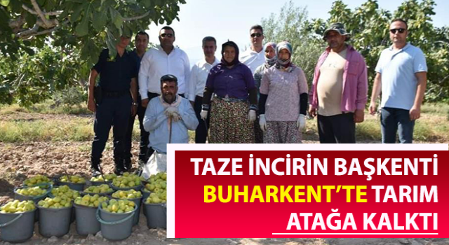 Buharkent tarımı atağa kalktı