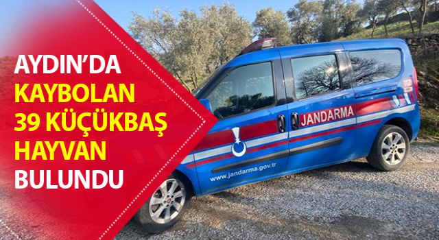 Kaybolan hayvanlar jandarma tarafından bulundu