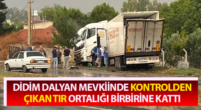 Kontrolden çıkan tır ortalığı birbirine kattı