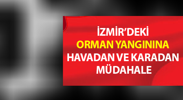 Orman yangınına havadan ve karadan müdahale