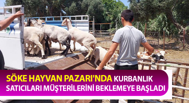 Söke Hayvan Pazarı'nda satıcılar müşterilerini bekliyor