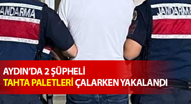 Tahta paletleri çalarken yakalandılar