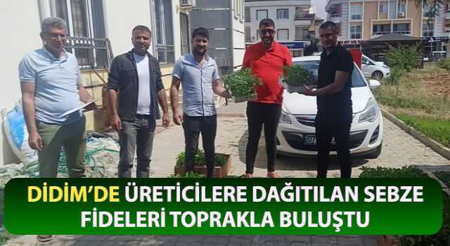 Üreticilere dağıtılan sebze fideleri toprakla buluştu