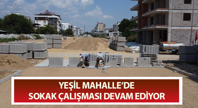 Yeşil Mahalle’de sokak çalışması devam ediyor