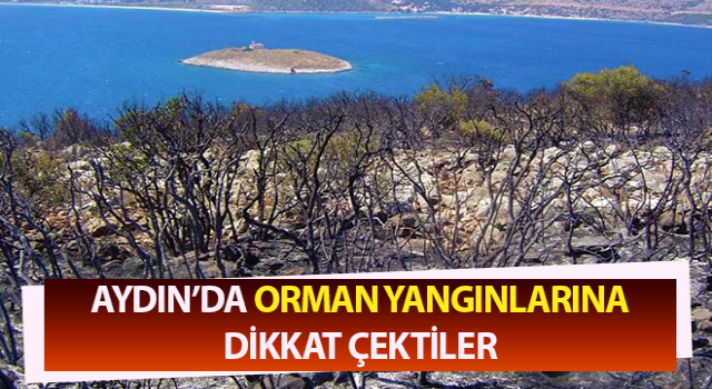 Aydın’da orman yangınlarına dikkat çektiler