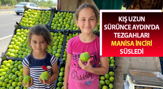 Aydın'da tezgahları Manisa inciri süsledi