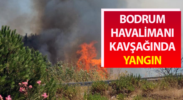 Bodrum Havalimanı kavşağında yangın