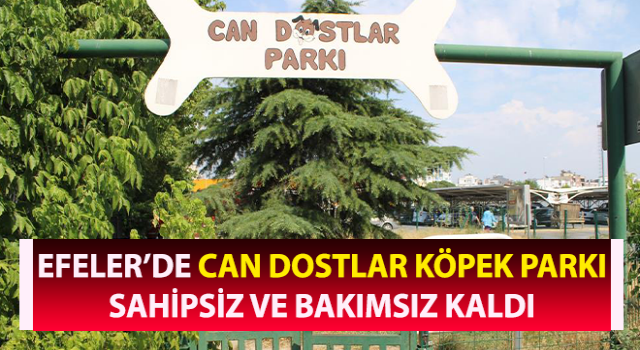 Can dostlar köpek parkı sahipsiz kaldı