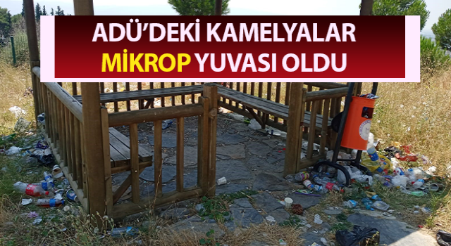 Çöplüğe dönen kamelyalar, hastalığa davetiye çıkarıyor