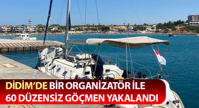 Didim’de 60 düzensiz göçmen yakalandı