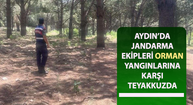 Jandarma ekipleri orman yangınlarına karşı teyakkuzda