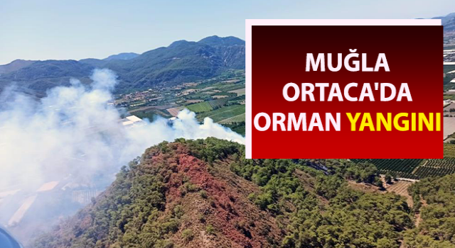 Ortaca’da orman yangını