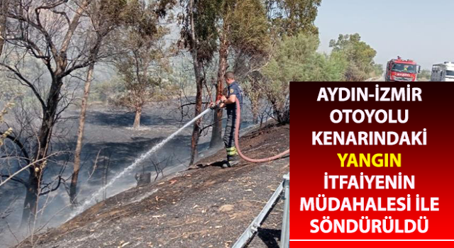 Otoyol kenarındaki yangın itfaiyenin müdahalesi ile söndürüldü