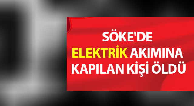 Söke'de elektrik akımına kapılan kişi öldü