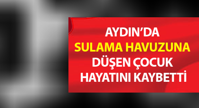 Yaylada sulama havuzuna düşen çocuk hayatını kaybetti