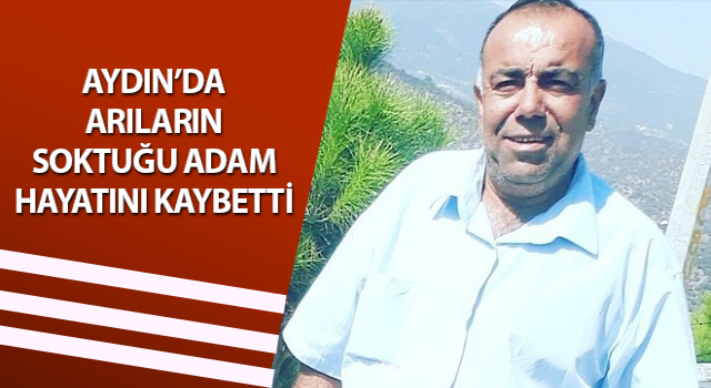 Arının soktuğu adam hayatını kaybetti