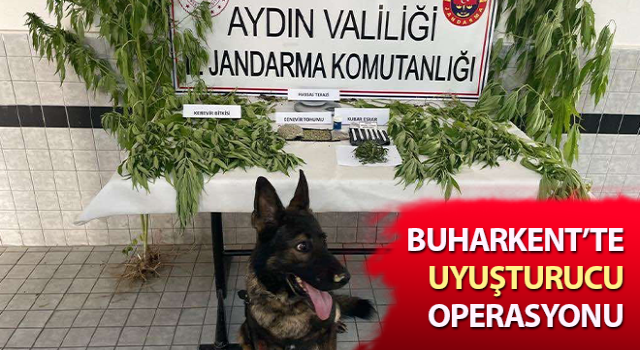 Buharkent’te uyuşturucu operasyonu