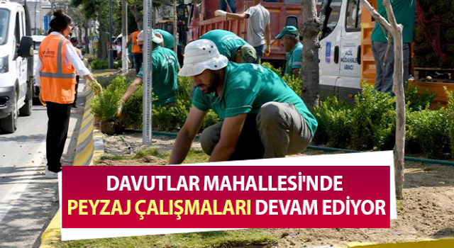 Davutlar Mahallesi'nde peyzaj çalışmaları devam ediyor